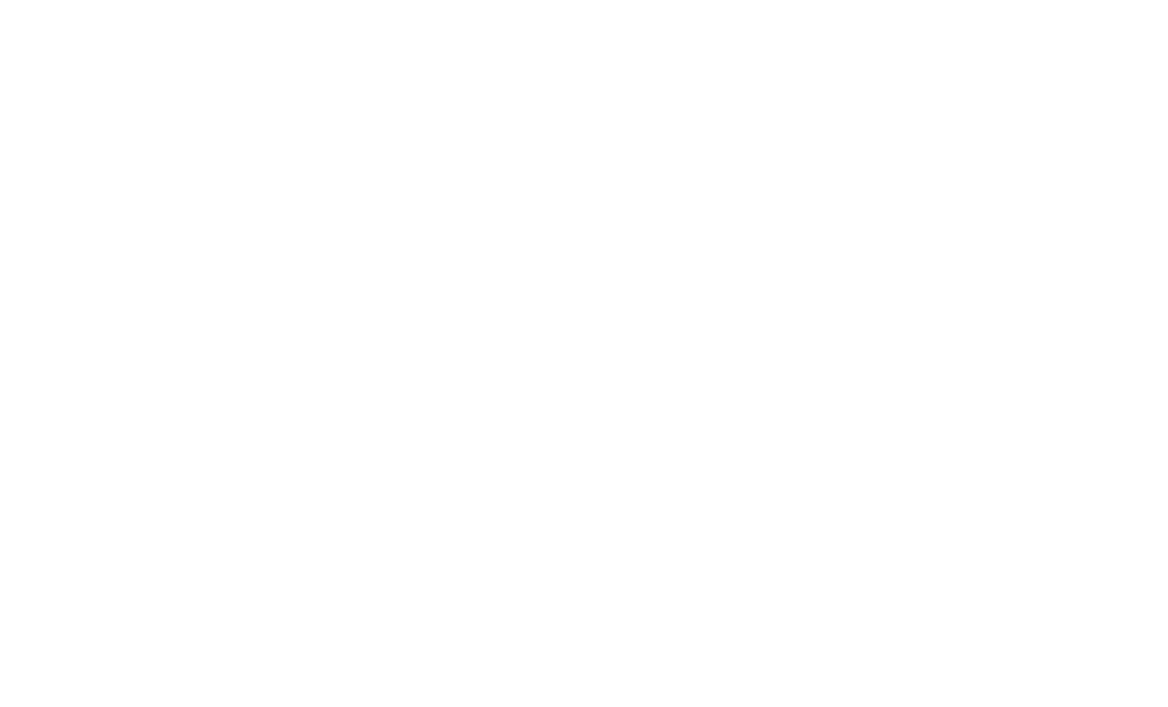 Logo San Marcos 2025